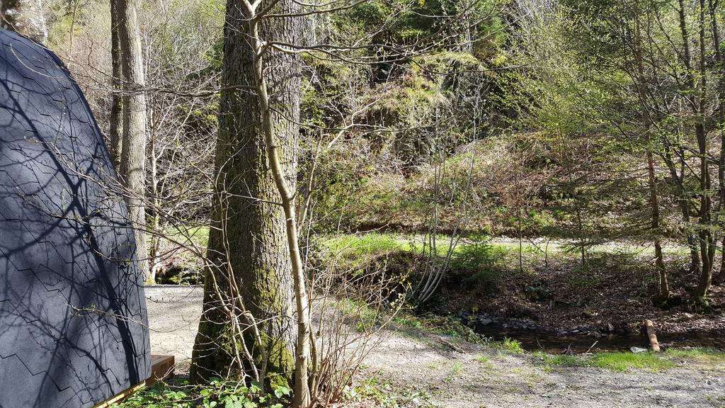 Camping Le Canada-Insolite Chiny Zewnętrze zdjęcie